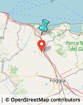 Falegnami,71010Foggia