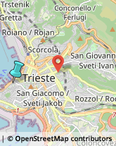 Librerie,34124Trieste