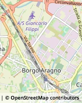 Via Bologna, 2,12084Mondovì