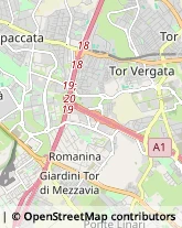 Via Raffaele Garofalo, 141,00173Roma