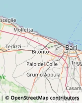 Via Galileo Galilei, 10,70056Molfetta