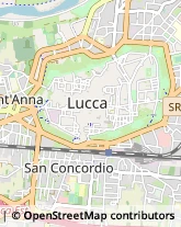 Assicurazioni,55100Lucca