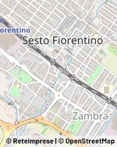 Viale L.Ariosto, 192,50019Sesto Fiorentino