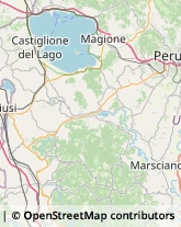 Via dello Zucchero, 12,06132Perugia