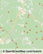 Case di Riposo e Istituti di Ricovero per Anziani,19020La Spezia