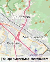 Pelletterie - Dettaglio,50041Firenze