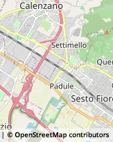 Pelletterie - Dettaglio,50019Firenze