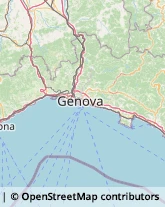 Trading Società,16043Genova