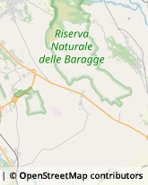 Giardinaggio - Servizio,13874Biella