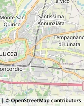 Idraulici e Lattonieri,55100Lucca