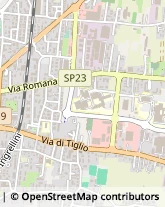 Via Romana, 421,55100Lucca