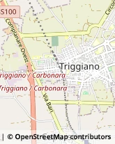 Via Giovanni Casalino, 132/B,70019Triggiano