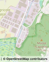 Viale Mareschi, 15,10051Avigliana