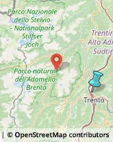 Agenzie di Animazione e Spettacolo,38100Trento