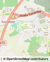 Strada Tuscanese, 23,01100Viterbo