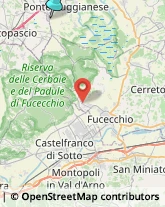 Consulenza Informatica,51013Pistoia