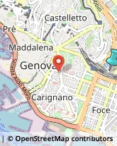 Palestre e Centri Fitness,16142Genova