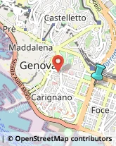 Palestre e Centri Fitness,16129Genova