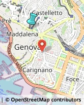 Palestre e Centri Fitness,16124Genova