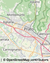 Agenzie di Animazione e Spettacolo,59100Prato