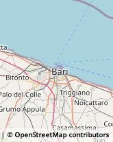 Importatori ed Esportatori,70016Bari