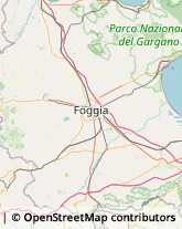 Logopedia,71036Foggia