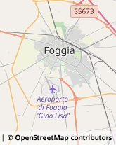 Logopedia,71121Foggia