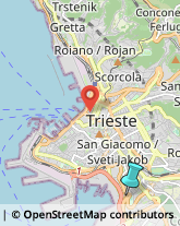 Sartorie,34145Trieste