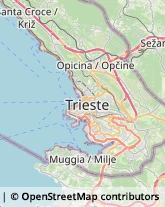 Fondi e Prodotti Finanziari - Investimenti,34015Trieste