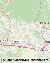 Via di Tiglio, 1611,55100Lucca