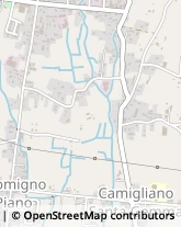 Via Stradone di Camigliano, 185,55012Capannori