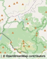 Ristoranti,42030Reggio nell'Emilia