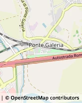 Via Palau, 135,00148Roma