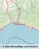 Revisione e Certificazione Bilanci,16047Genova