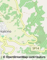 Via Traversa dei Monti, 29,53024Montalcino