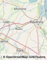 Autotrasporti,48123Ravenna