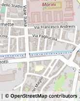 Via Pagliucola, 53,51100Pistoia