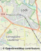 Traduttori ed Interpreti,26900Lodi