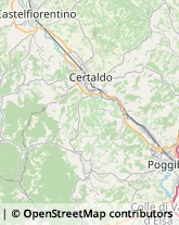 Via Fiorentina, 127,50052Certaldo