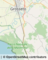 Strada Provinciale Poggio alla Mozza, 24,58100Grosseto