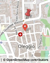 Viale Niccolò Paganini, 3,28047Oleggio