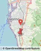 Via Uberto Mondolfi, 56,57128Livorno