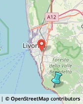 Agenzie di Animazione e Spettacolo,57128Livorno