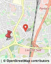 Viale dei Pini, 6/B,57127Livorno