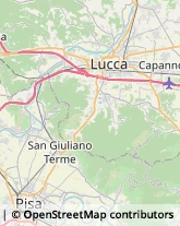 Via di Tiglio, 1611,55100Lucca