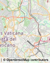 Via Germanico, 158,00192Roma