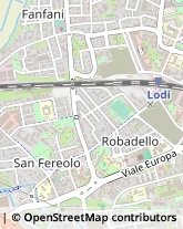 Viale dei Platani, 55,26900Lodi