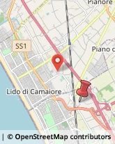 Via dei Coltivatori, 15,55049Viareggio