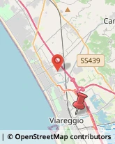 Via Amilcare Cipriani, 9,55049Viareggio