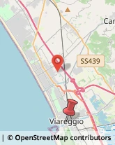 Via S. Francesco, 80,55049Viareggio